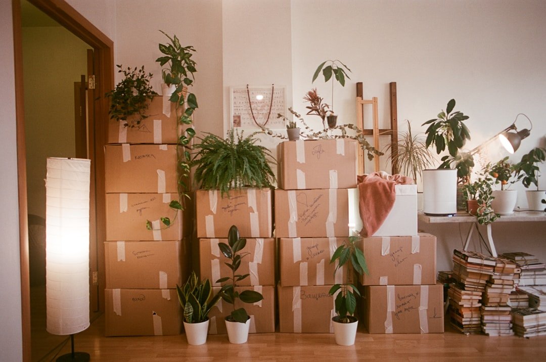 Moving boxes and furniture removed during an apartment trash-out in Saint Paul, MN